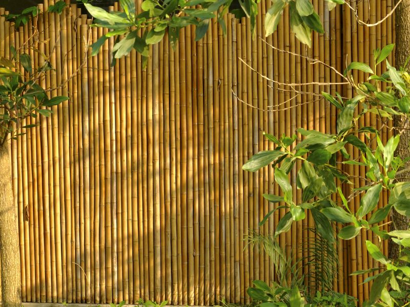 Bamboo Privacy Screen